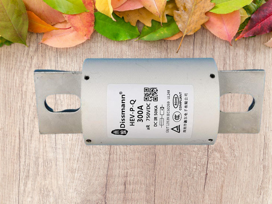 Fusibili automobilistici in ceramica DC30KA 1000 V CC adatti per caricabatterie EV