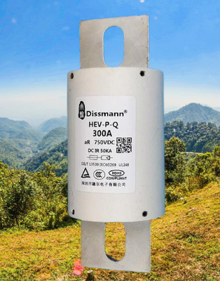 Fusibili a semiconduttore del tubo in fibra del sistema di accumulo di energia per caricabatterie EV